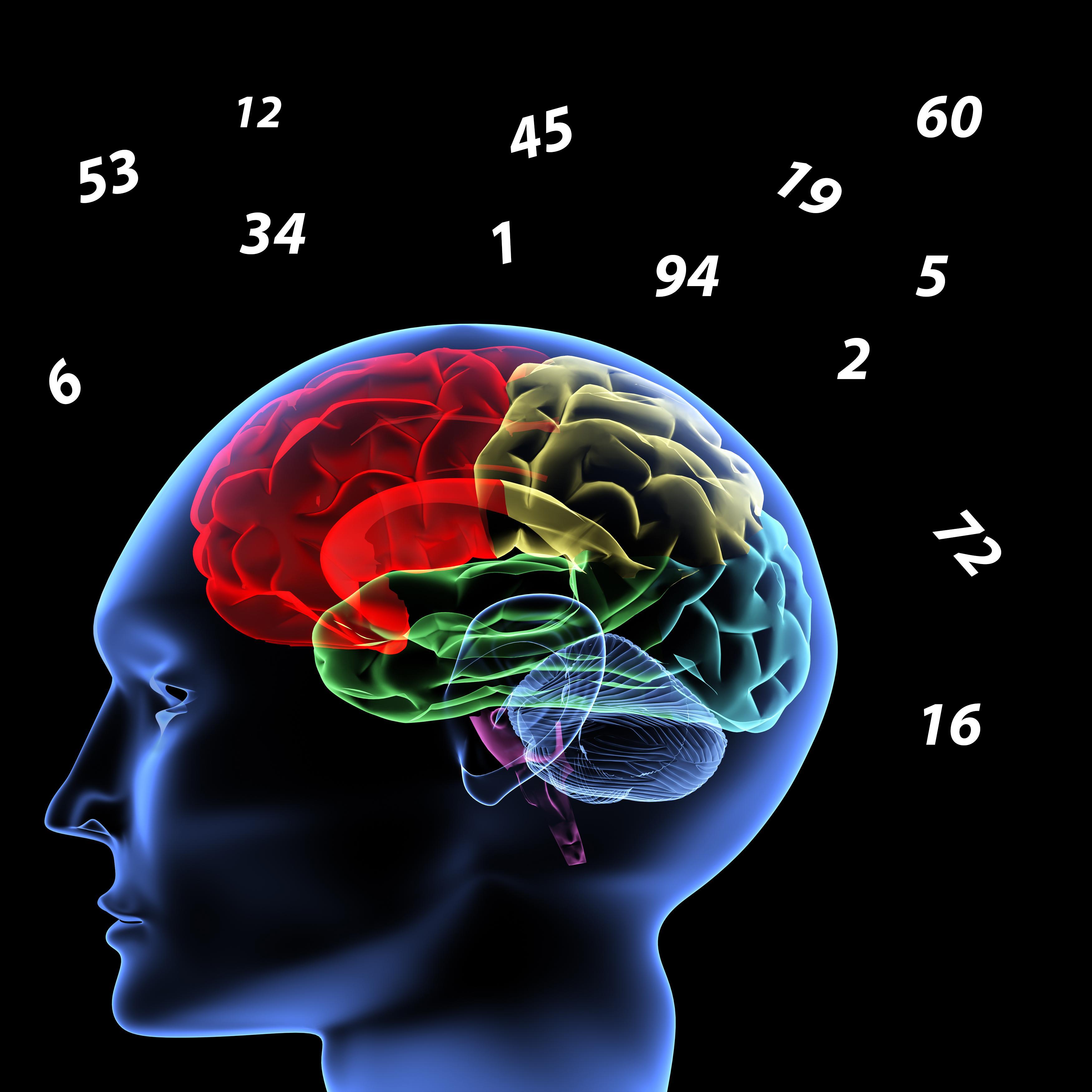 Memory Test free