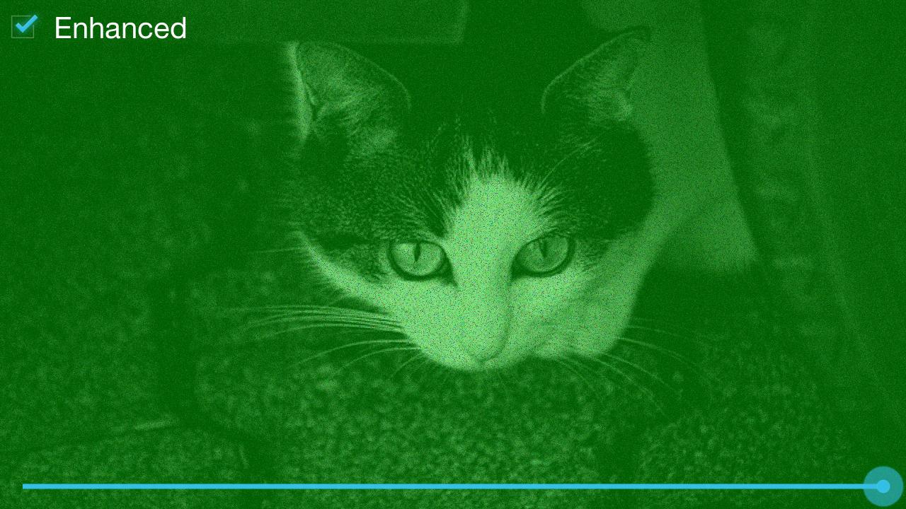 Feigned Night Vision