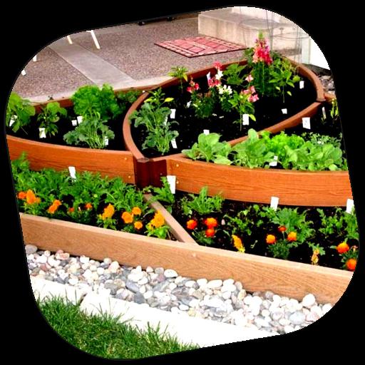 Vegetable Garden Ideas