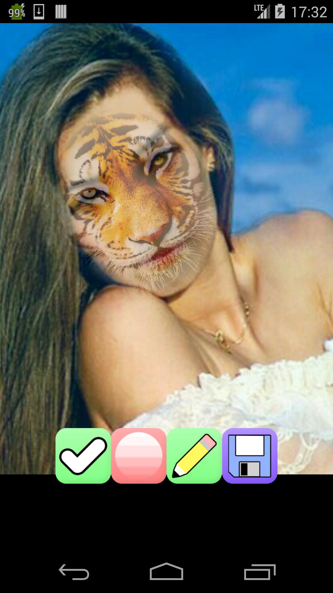 add tiger face to picture