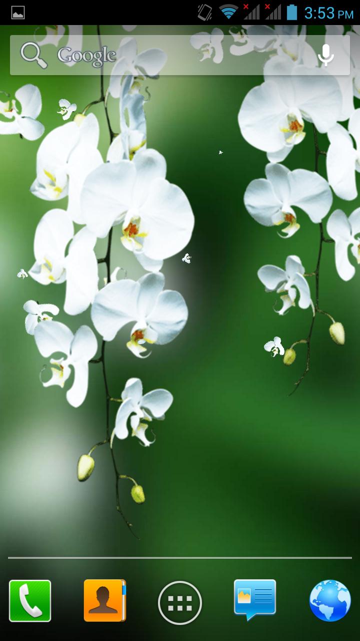 Flowers 3D live wallpaper