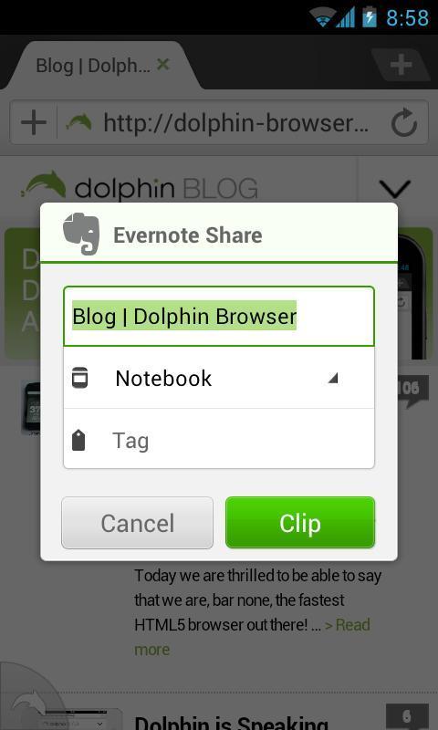 Evernote for Dolphin