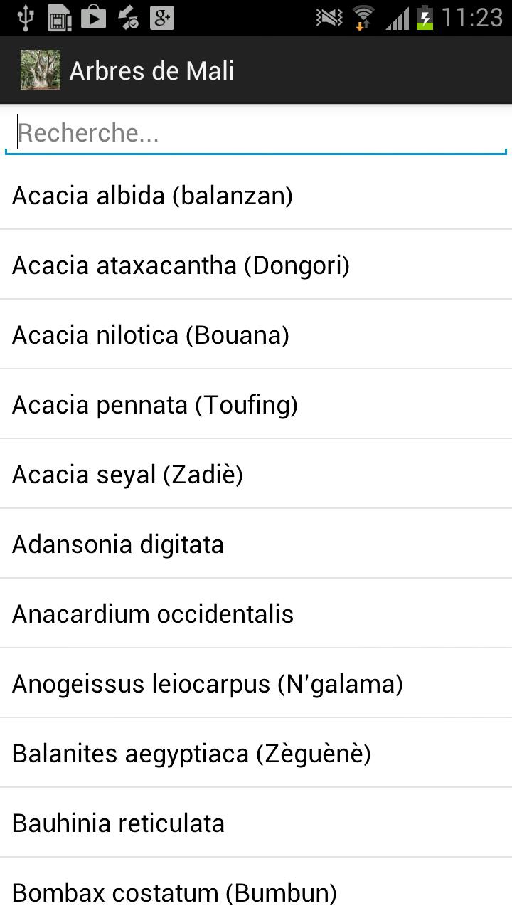 Arbres de Mali