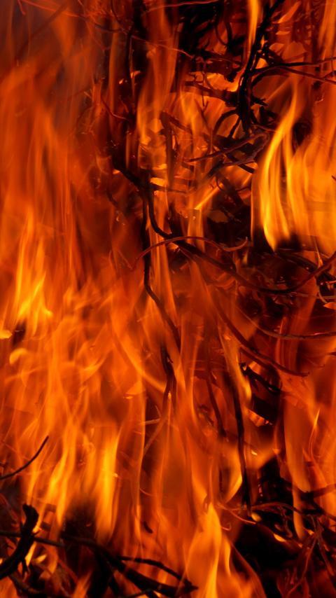 burning fire wallpaper