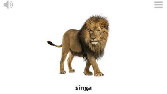 Lyrebird: Learn INDONESIAN