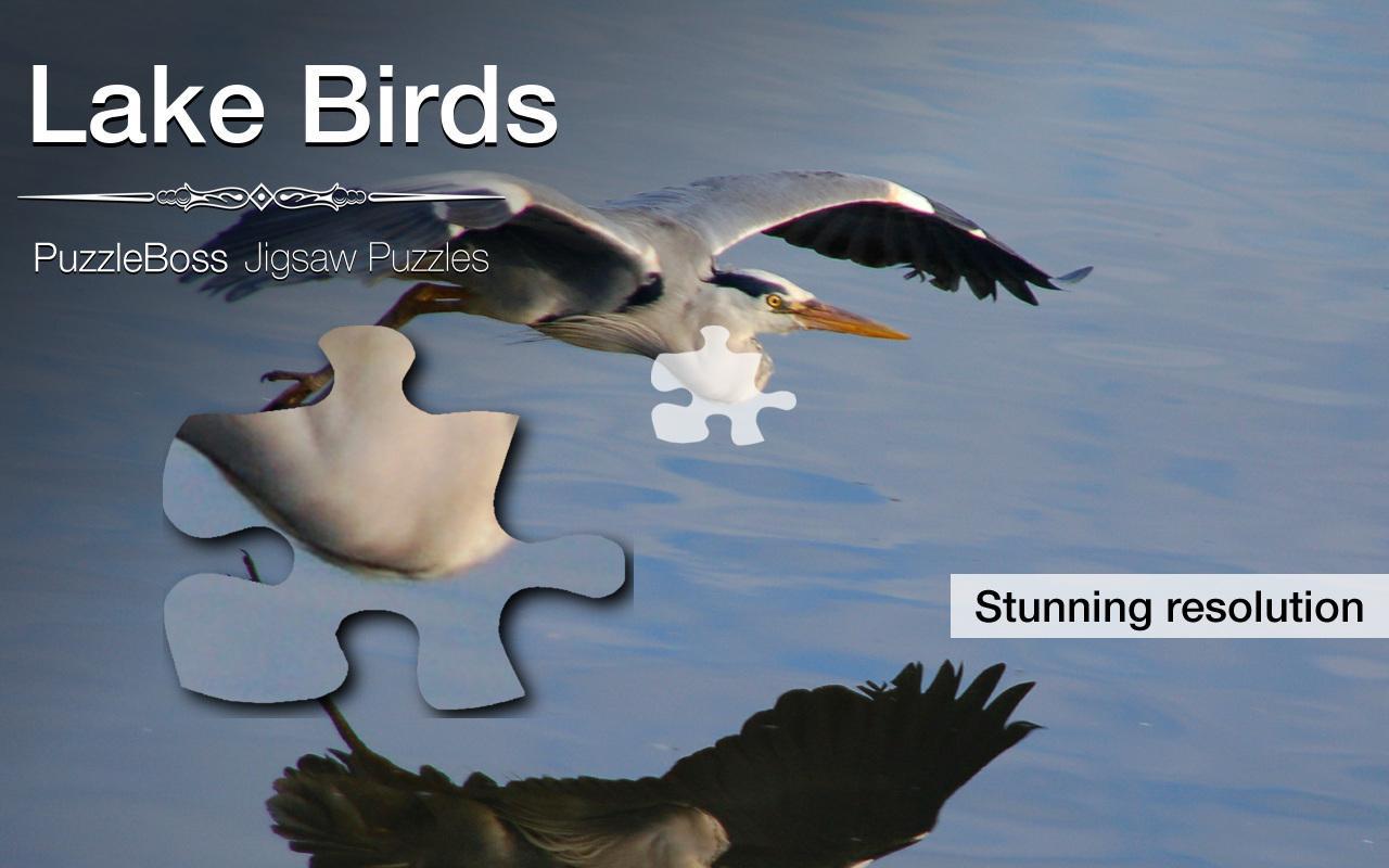Jigsaw Puzzles: Lake Birds
