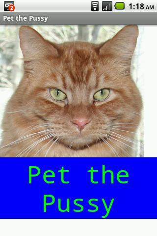 Hello Pussy Cat