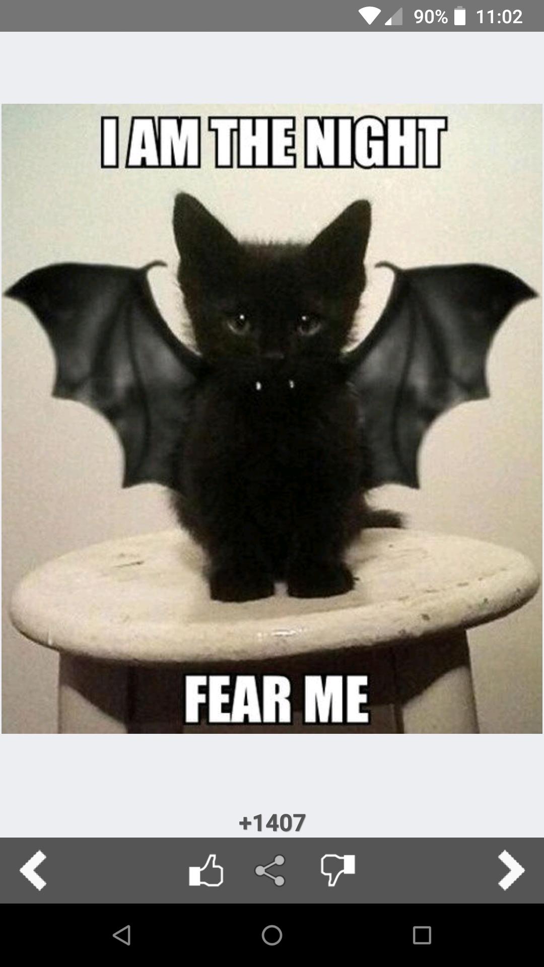 Funny Jokes Images