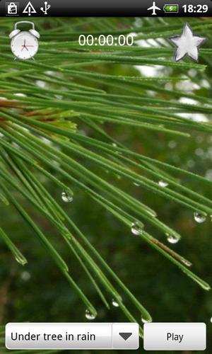 Rain Sounds