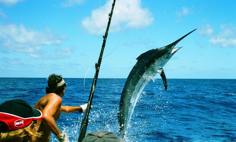 Fishing Wallpapers