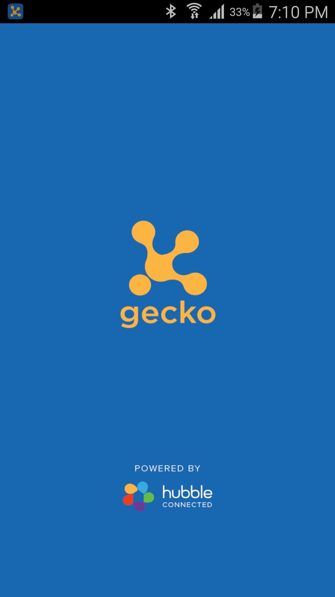 My Gecko