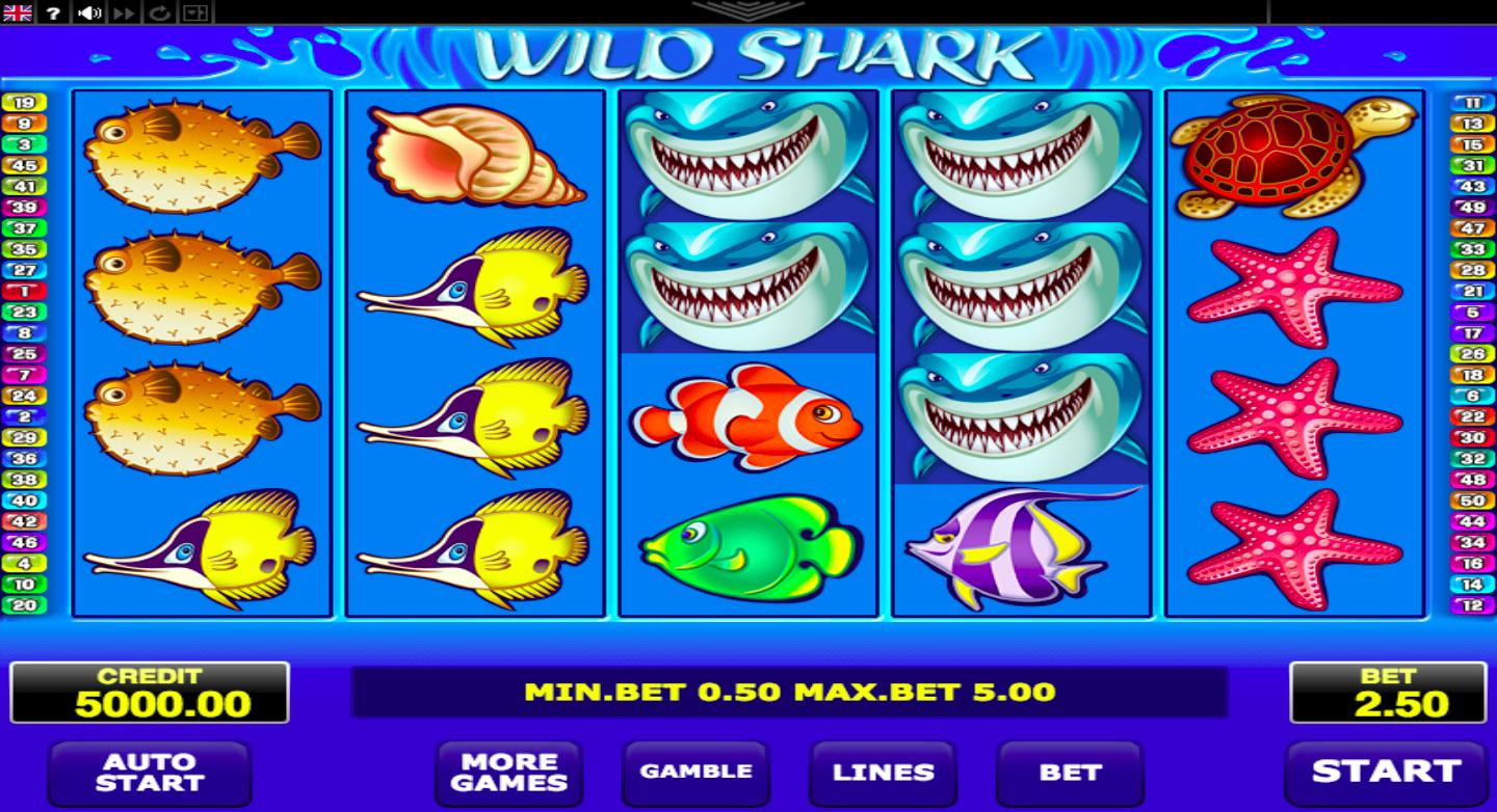 Wild Shark